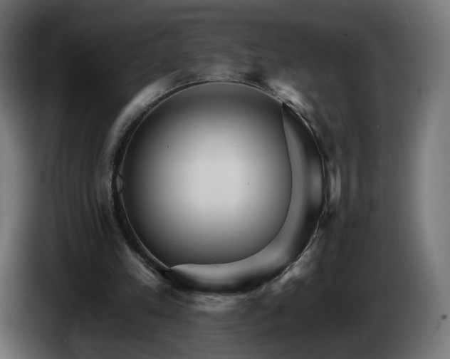 X0000084540197200703021451