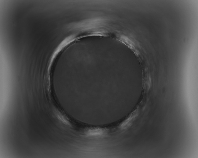 X0000084540198200703021451