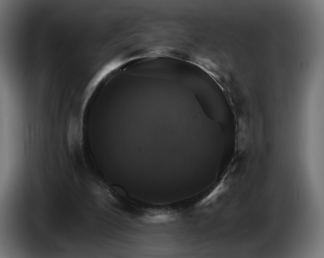 X0000084540200200703021451