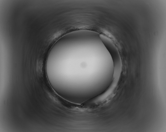 X0000084540201200703021451