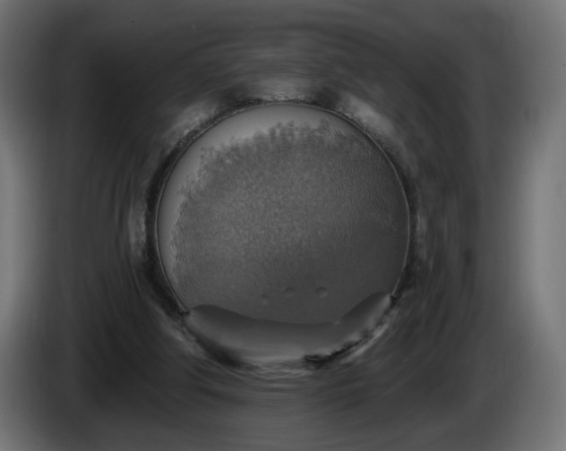 X0000084540202200703021451