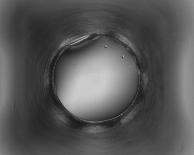 X0000084540203200703021451