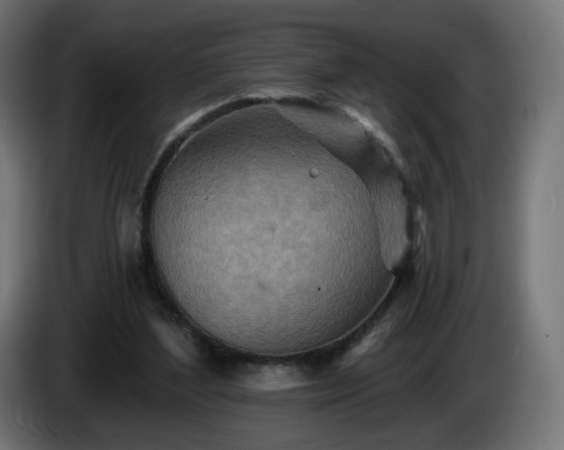 X0000084540204200703021451