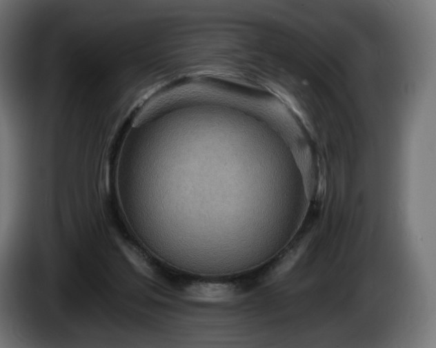 X0000084540205200703021451