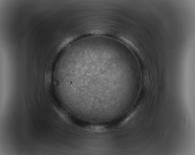 X0000084540208200703021451