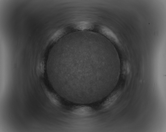 X0000084540210200703021451