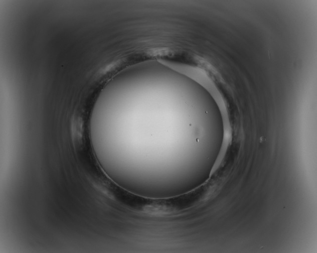 X0000084540211200703021451