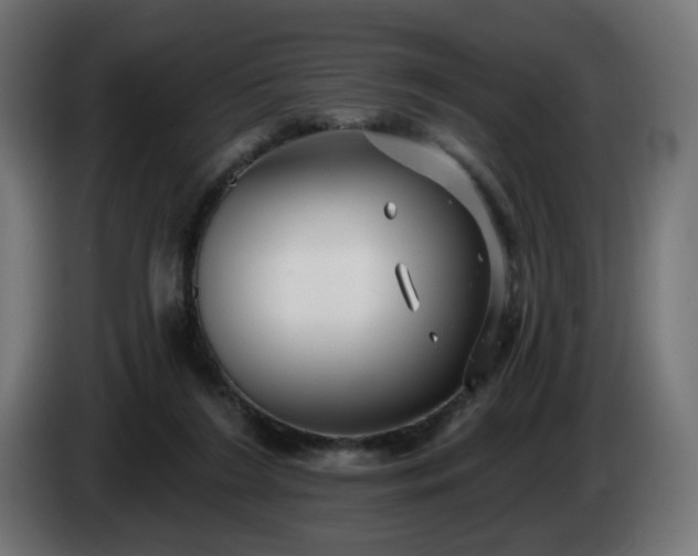 X0000084540212200703021451