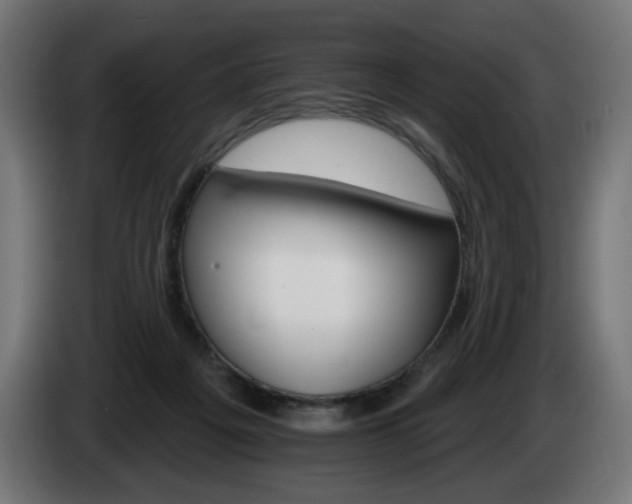 X0000084540217200703021451