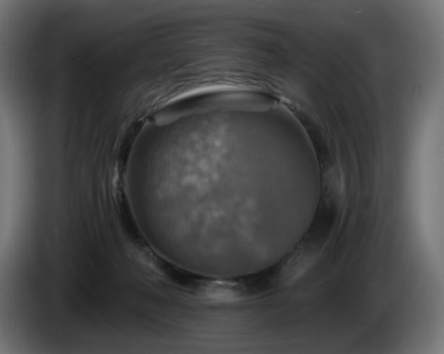 X0000084540222200703021451