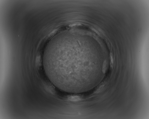 X0000084540224200703021451