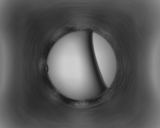 X0000084540225200703021451