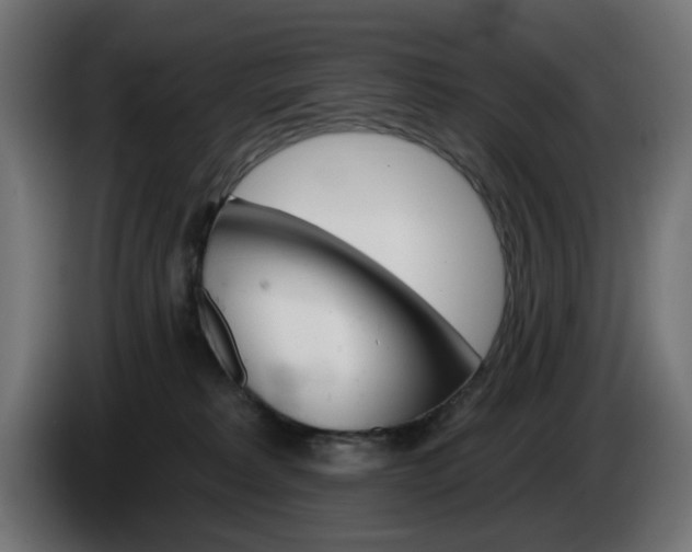 X0000084540229200703021451