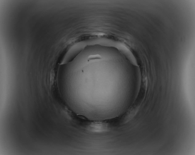 X0000084540231200703021451