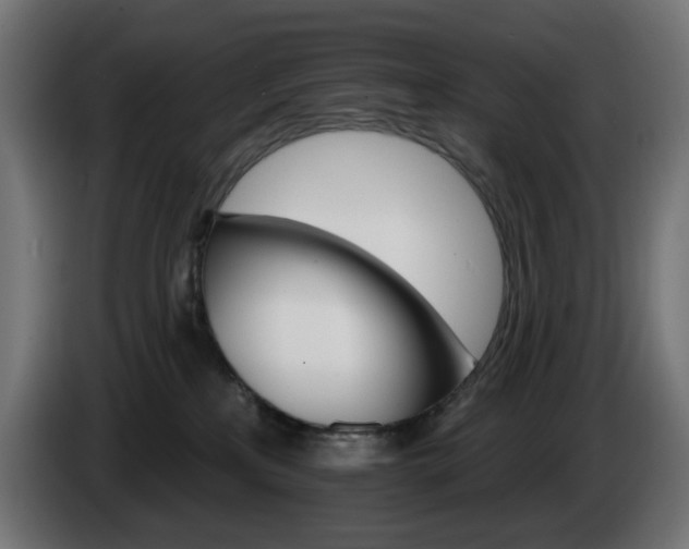 X0000084540233200703021451