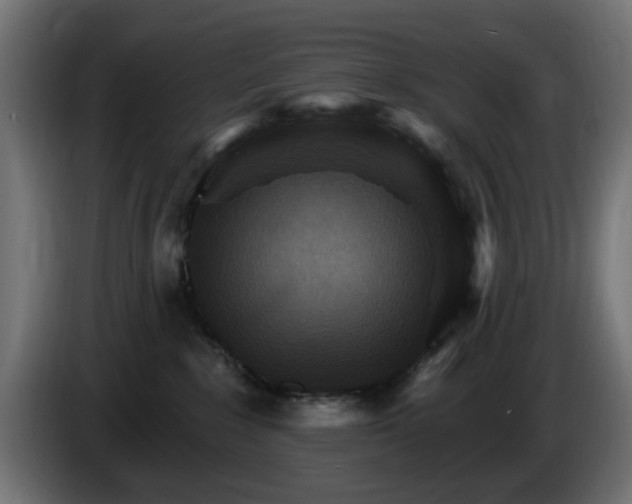 X0000084540235200703021451