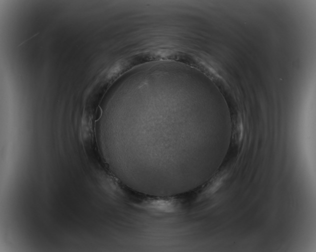 X0000084540236200703021451