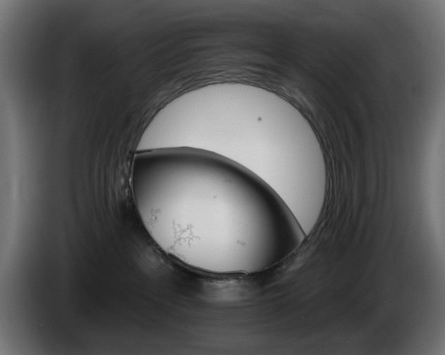 X0000084540237200703021451