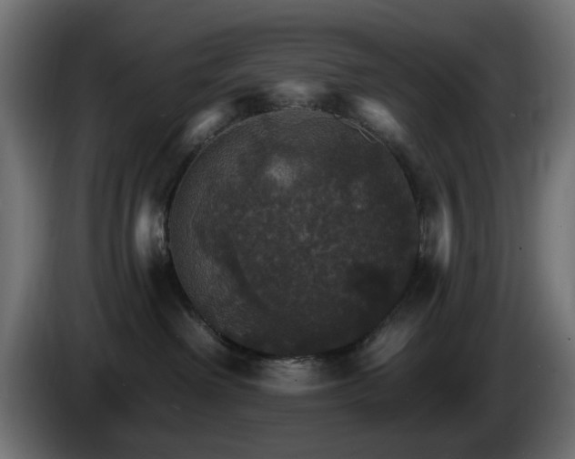 X0000084540238200703021451