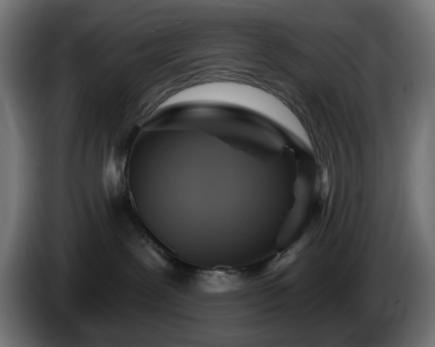 X0000084540239200703021451