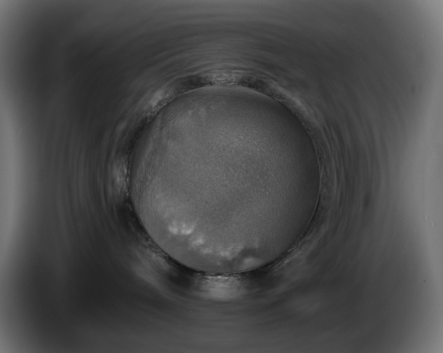 X0000084540240200703021451