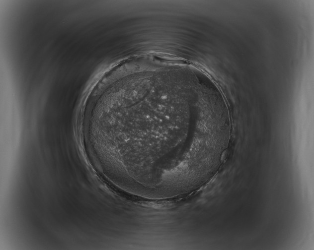 X0000084540241200703021450