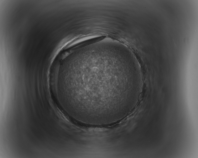 X0000084540242200703021450