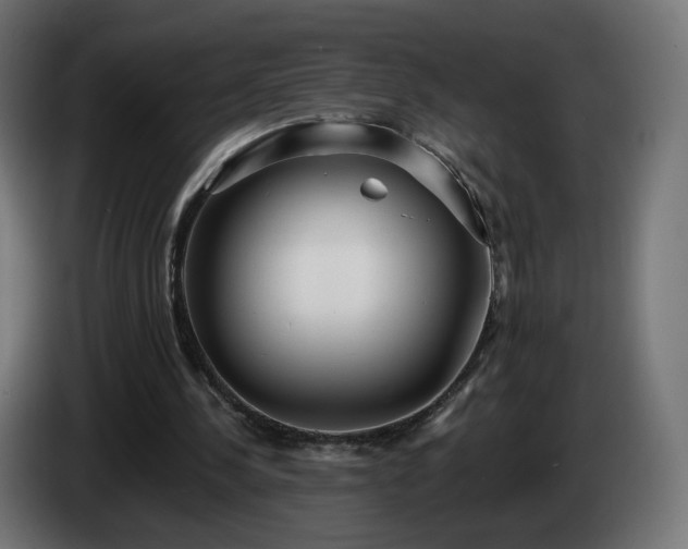 X0000084540244200703021450