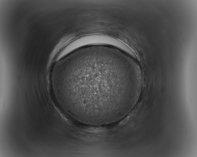 X0000084540245200703021450