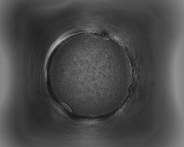 X0000084540246200703021450