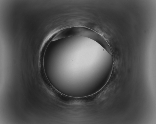 X0000084540248200703021450