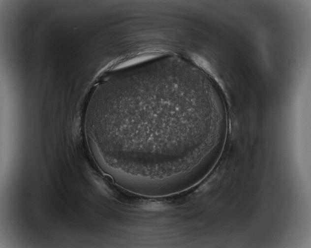 X0000084540249200703021450