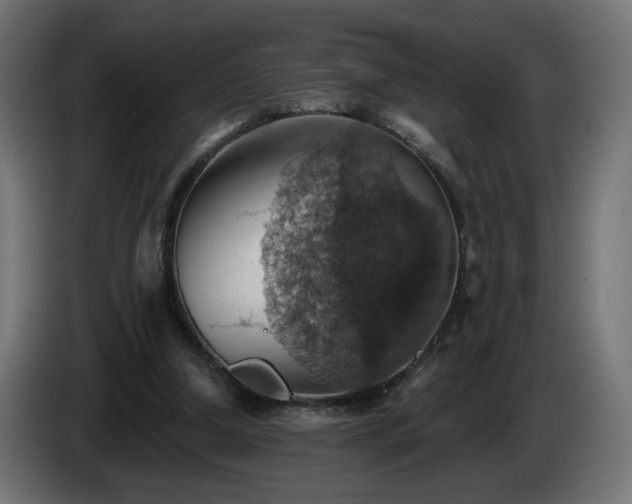 X0000084540250200703021450