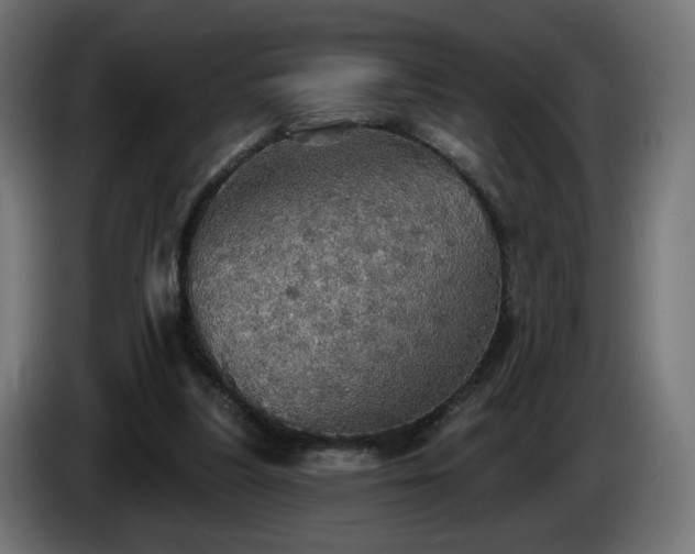 X0000084540251200703021450