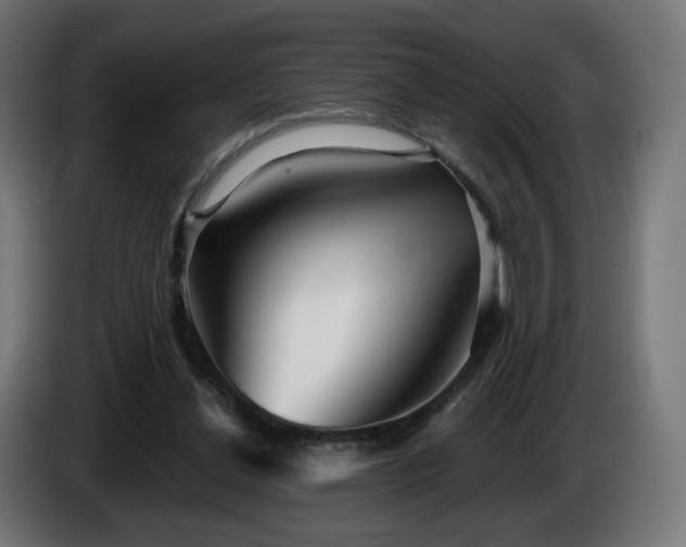 X0000084540252200703021450