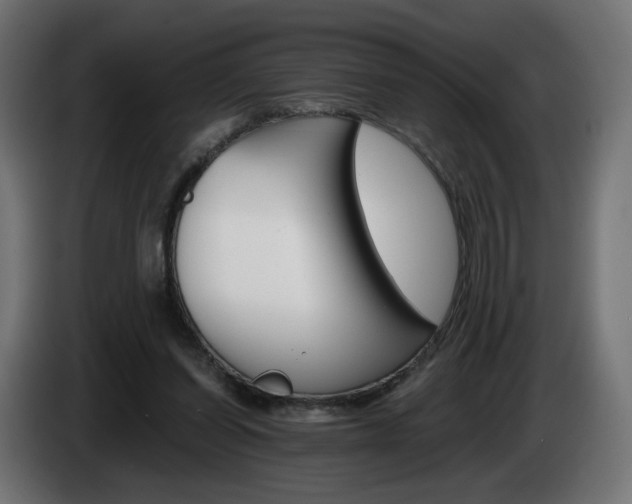 X0000084540254200703021450