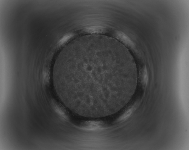 X0000084540255200703021450