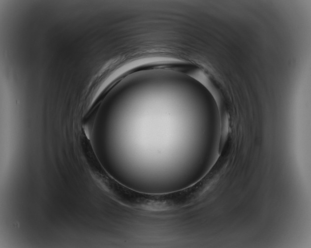 X0000084540256200703021450