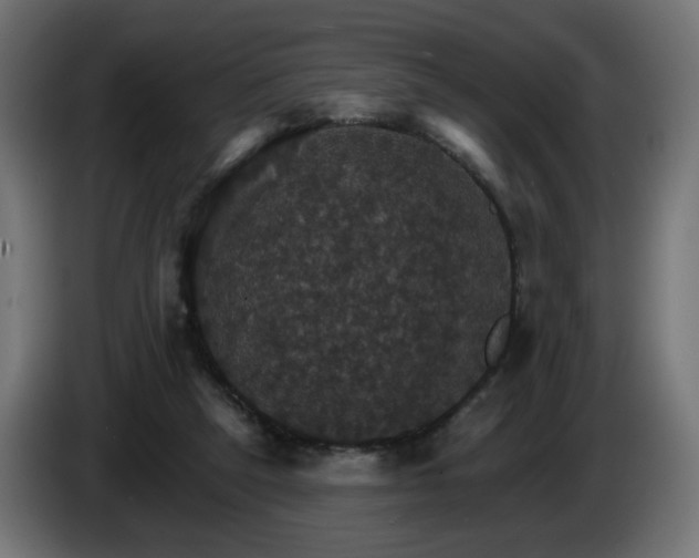 X0000084540257200703021450