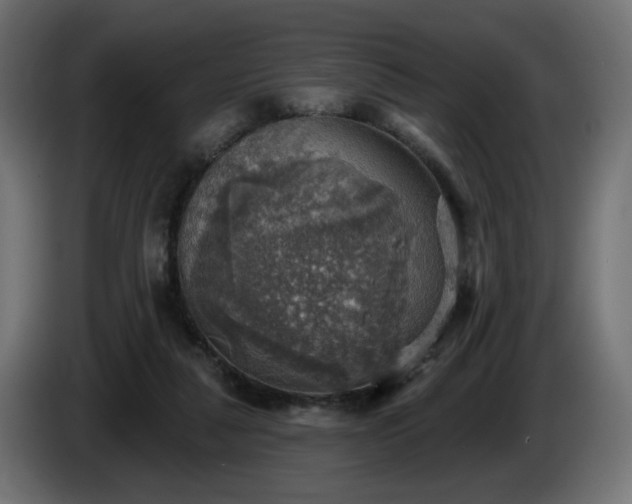 X0000084540259200703021450