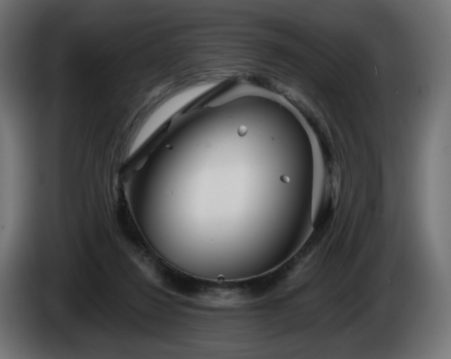 X0000084540260200703021450