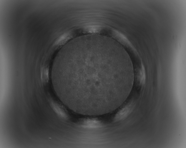 X0000084540262200703021450