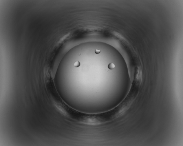 X0000084540264200703021450