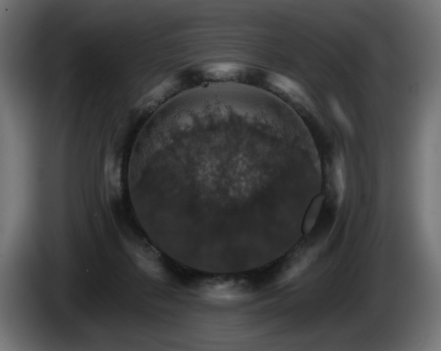 X0000084540267200703021450