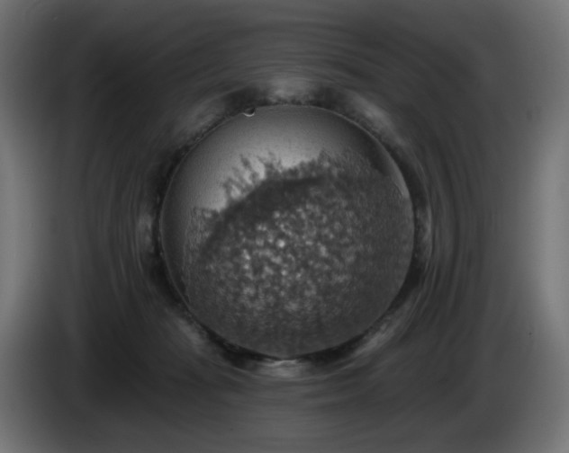 X0000084540269200703021450