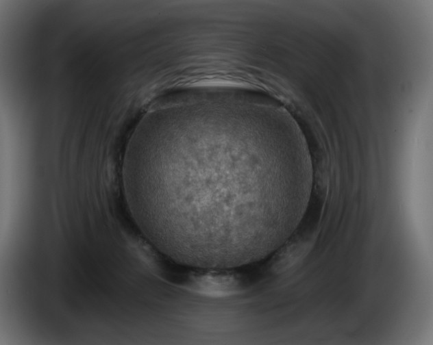 X0000084540270200703021450