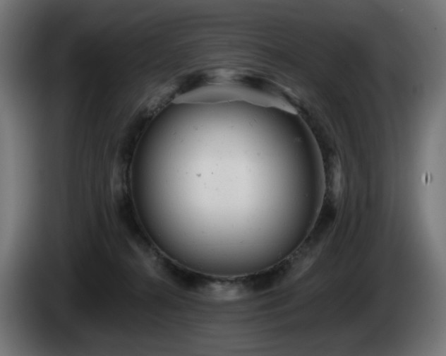 X0000084540272200703021450