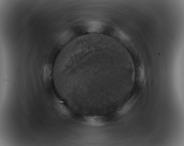 X0000084540273200703021450