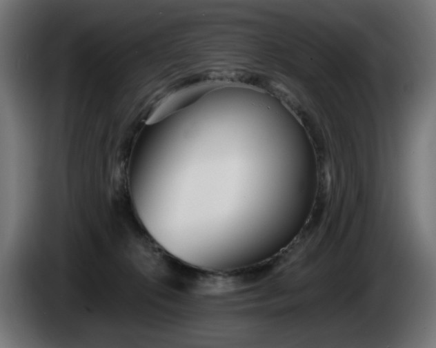 X0000084540276200703021450