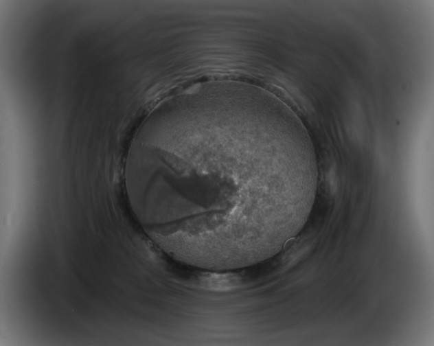 X0000084540277200703021450